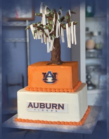 Groom Cake Auburn