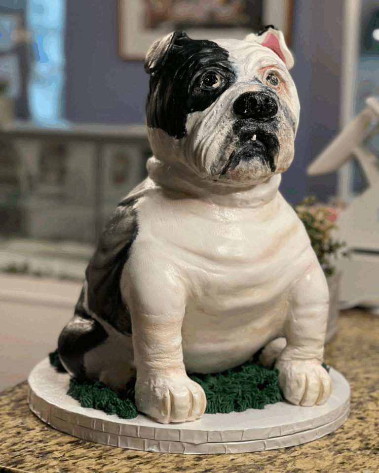 For the Georgia Bulldogs Fans!